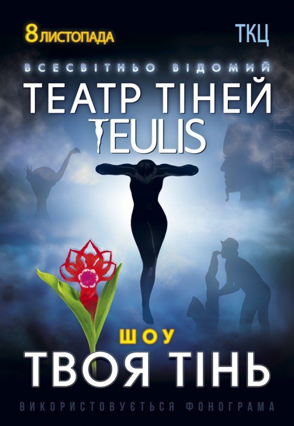 Театр Тіней TEULIS. Шоу "Твоя тінь"