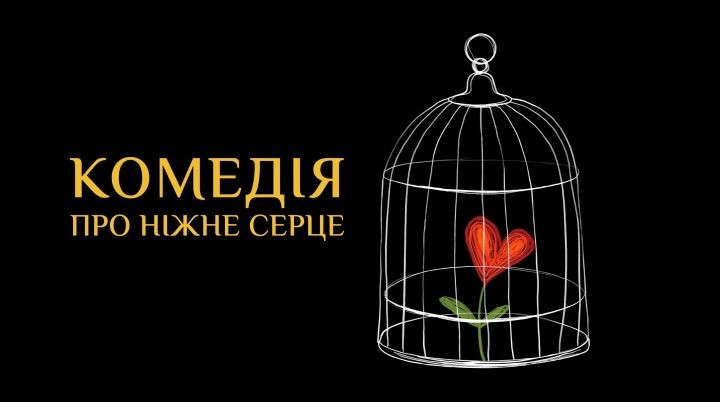 Комедія про ніжне серце