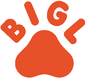 Промокоди Bigl