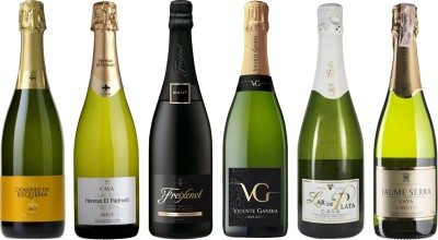 Набір із 6 пляшок Cava Brut Іспанська чарівність