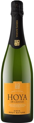 Вино ігристе Hoya de Cadenas Cava Brut Nature біле брют 0.75 л 11.5%