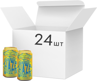 Упаковка пива Sierra Nevada Fantastic Haze світле нефільтроване 9% 0.355 л x 24 шт
