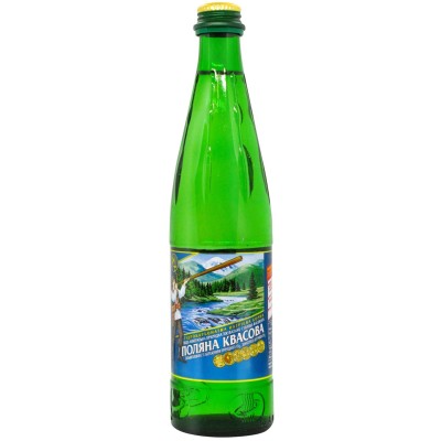 Мінеральна вода сильногазована Поляна Квасова 0,5 л